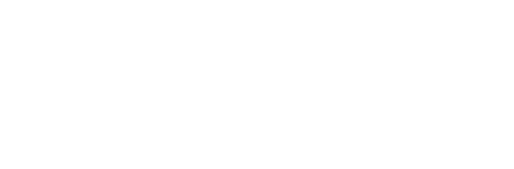 Chameleon Education